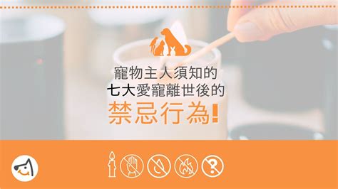 狗狗往生禁忌|寵物主人須知的愛寵離世後七大禁忌行為 